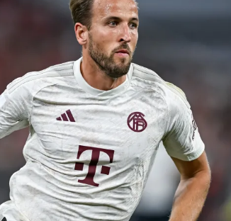 球迷的热议 球迷的热议