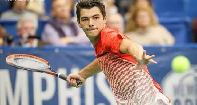 借着顽强的 借着顽强的